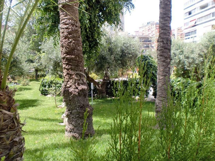 Apartamentos Cervantes Бенідорм Екстер'єр фото